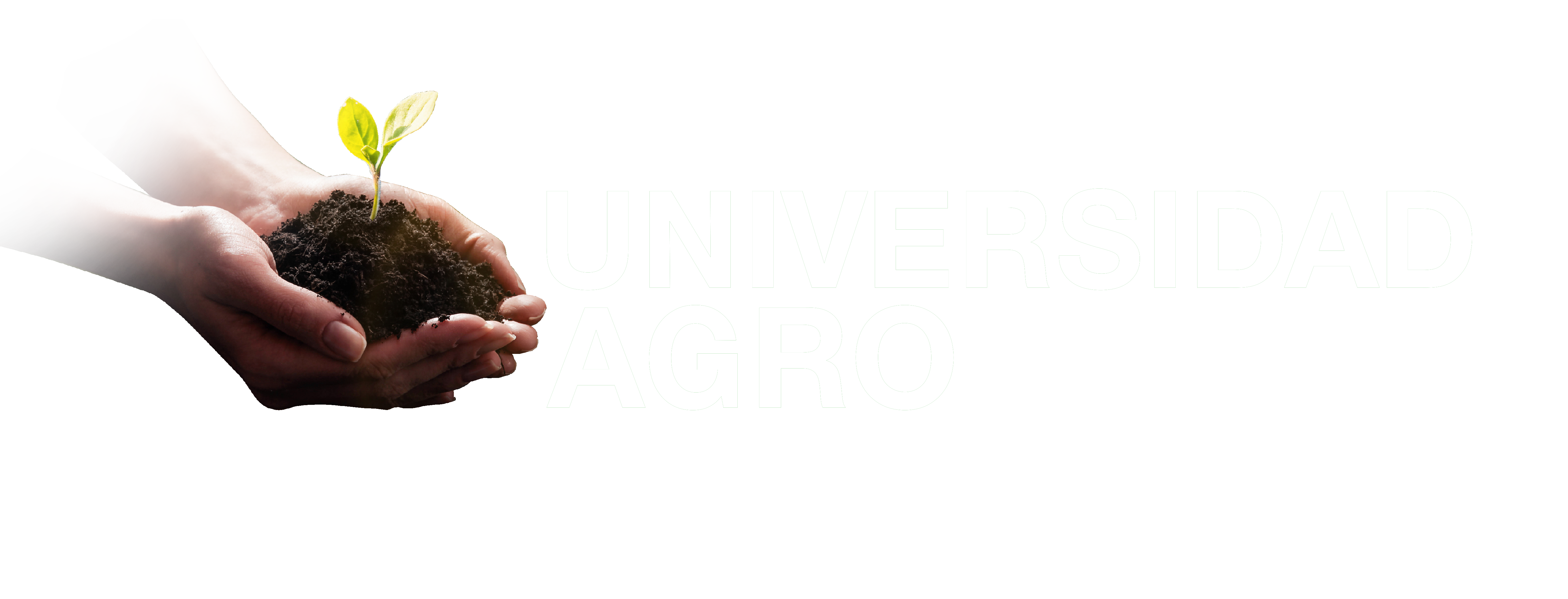 Universidad AGRO